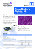 IP-017 - Gram-Hucker's Staining Kit