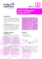 IP-029 - Cell Proliferation Assay Kit XTT