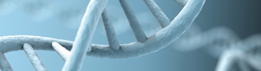 Analytics & Assays - Isolation of Nucleic Acids